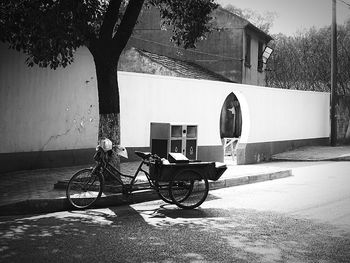 Bicycle against trees