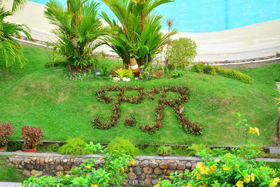 High angle view of flowering plants by swimming pool in field