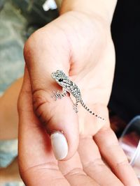 Close-up of hand holding insect