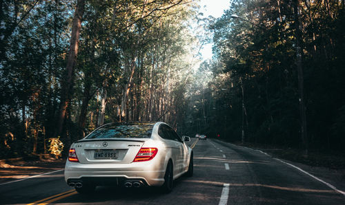 Car on road in forest