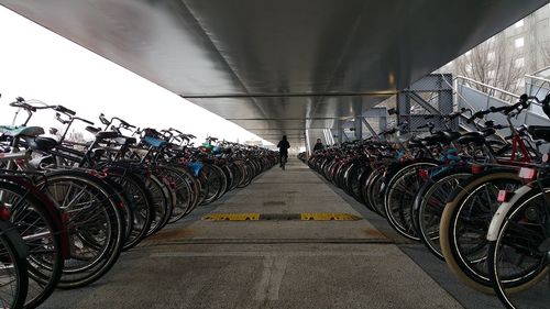 Bicycles in row