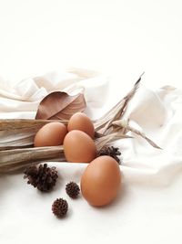 High angle view of eggs against white background