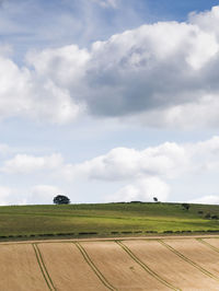 Scenic view of agricultural field against sky