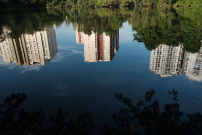 Reflection of trees and buildings in lake