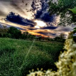 Scenic view of field against sky during sunset