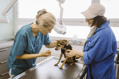 Mature veterinarian examining dog on examination table by female owner in clinic