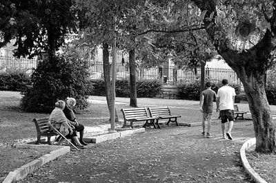 Rear view of people sitting on bench against trees