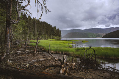 Scenic view of lake against sky