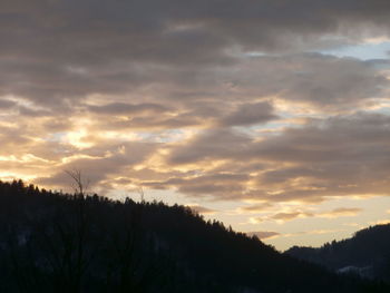 Silhouette trees against sky during sunset