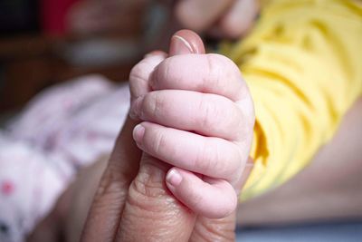 Close-up of hand holding yellow flower