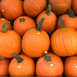 Full frame shot of pumpkins for sale