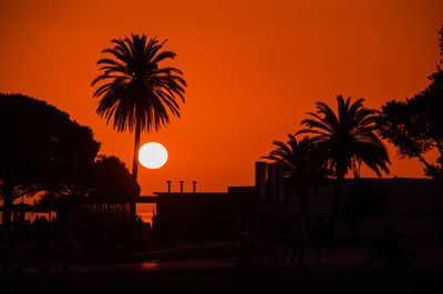 Silhouette palm trees against orange sky