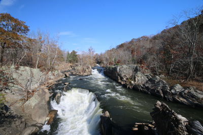 River flowing amidst trees against clear sky