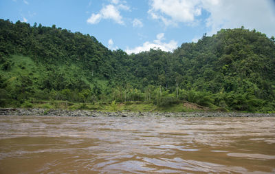 Scenic view of river amidst trees in forest against sky