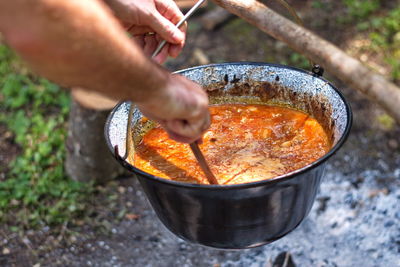 Preparing food on campfire in nature