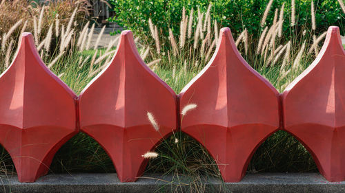 Close-up of red leaves against trees