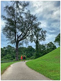 Rear view of people on road amidst trees against sky