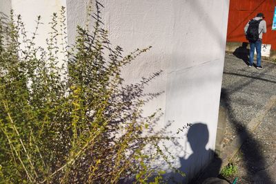 Low section of man walking on floor