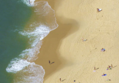 Close-up of crab on sand at beach