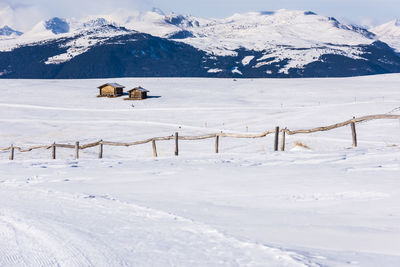 View of sheep on snow covered land