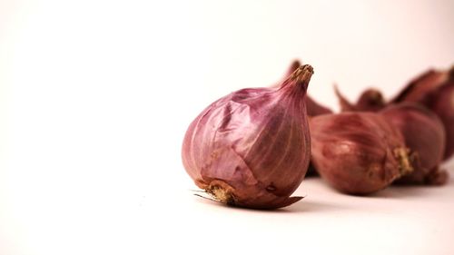 Close-up of garlic against white background