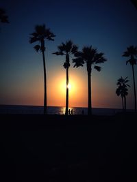 Silhouette palm trees on beach against sky during sunset