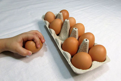 High angle view of hand holding eggs