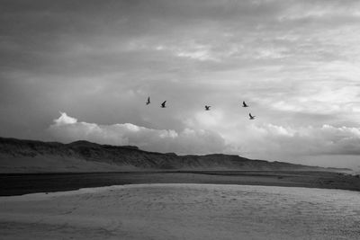 Birds flying over mountain against sky