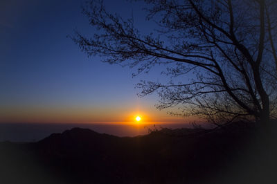 Silhouette of trees against sky during sunset