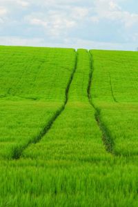 Scenic view of agricultural field against sky