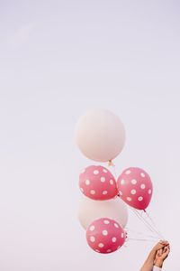 Close-up of multi colored balloons against white background