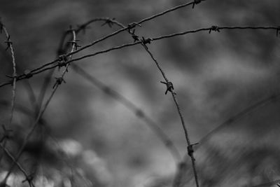 Close-up of barbed wire on fence