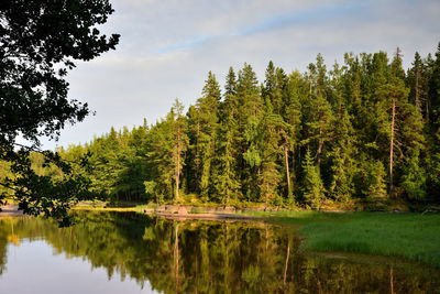 Scenic view of lake by trees against sky