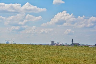 Scenic view of agricultural field against sky