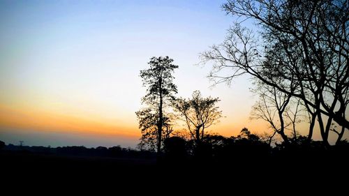 Silhouette trees on field against sky during sunset