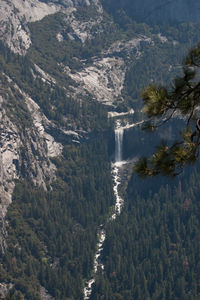 High angle view of waterfall amidst trees in forest