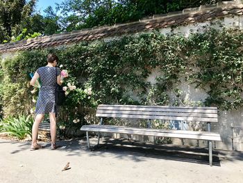 Rear view of woman standing by bench in park