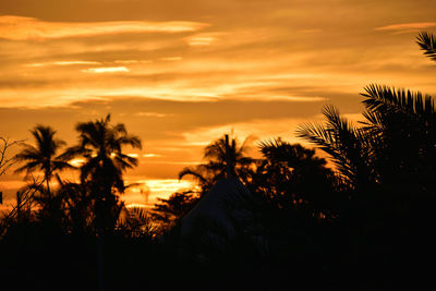 Silhouette palm trees against dramatic sky during sunset