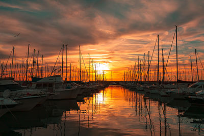 Sailboats moored at harbor during sunset