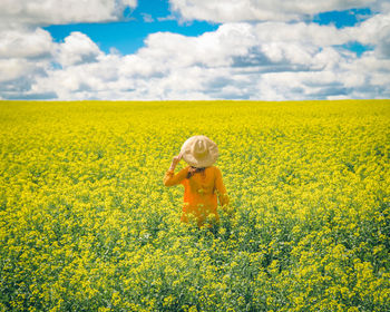 Scenic view of sunflower field