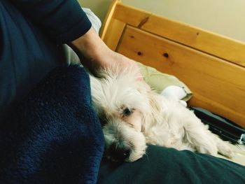 Close-up of man with dog