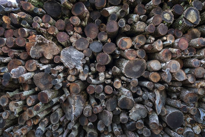 The wood rings, the grain and the structure of the wooden logs. 