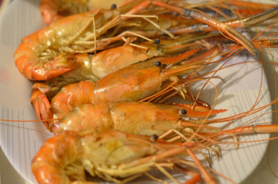 High angle view of seafood in plate