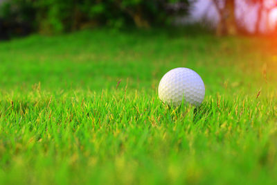 Close-up of ball on field