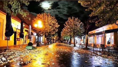 Wet street in illuminated city during rainy season at night