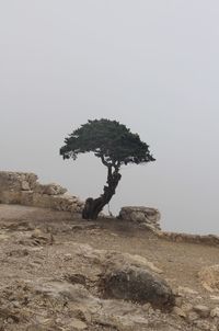 Scenic view of hill against clear sky