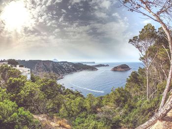 High angle view of sea and trees against sky