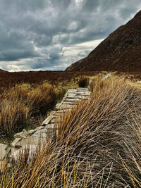 Connemara national park-irelan