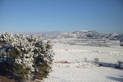 winter