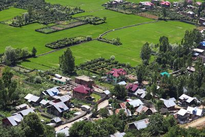 High angle view of trees and houses on field